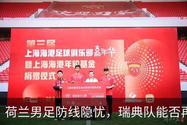 荷兰男足防线隐忧，瑞典队能否再续佳绩？